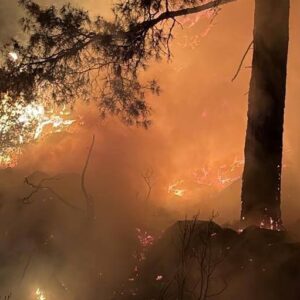 ispartada ormanlik alanda cikan yangin kontrol altinda fGlrxbMg