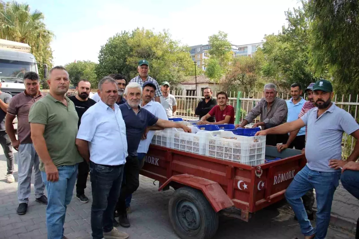 incir alimlari tuccar sorunu nedeniyle durduruldu Z3gSuF5V