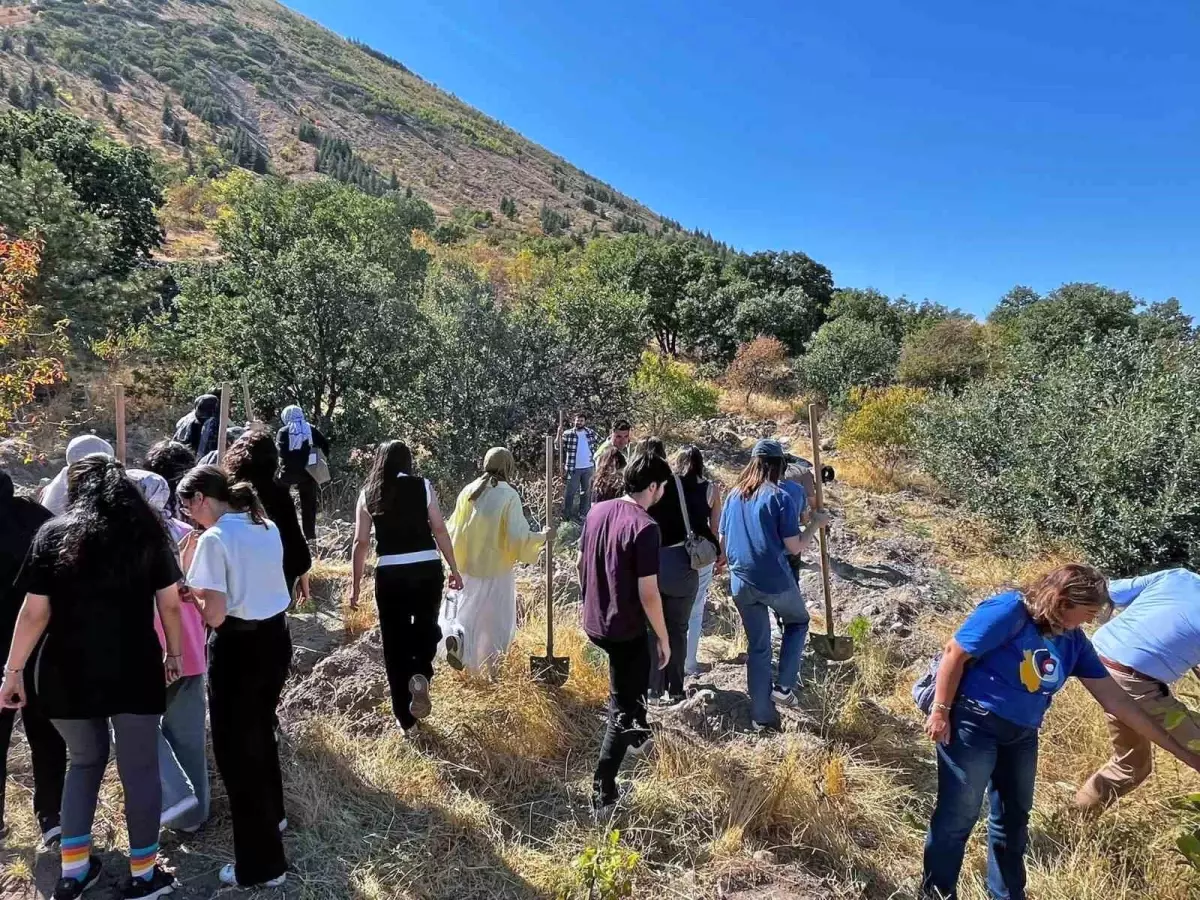 talasta dunya eczacilar gununde fidan dikim etkinligi gerceklestirildi Y6qCNLQI