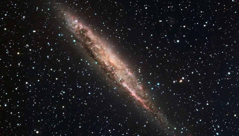 abdli gokbilimci arastirdi insanlar evrende bir istisna olabilir 8S2r1JJY