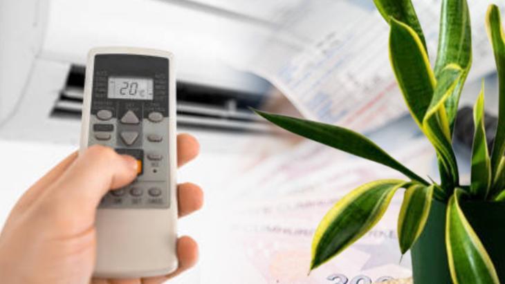 evdeki cicekler elektrik faturasini dusurebilir klima kullanimi dusuyor sicakligi koruyor yx5q1hR7.jpg