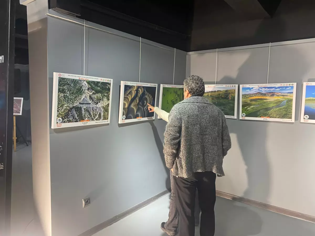 nallihan kus cennetinde foto safari sergisi acildi hiX5neGf