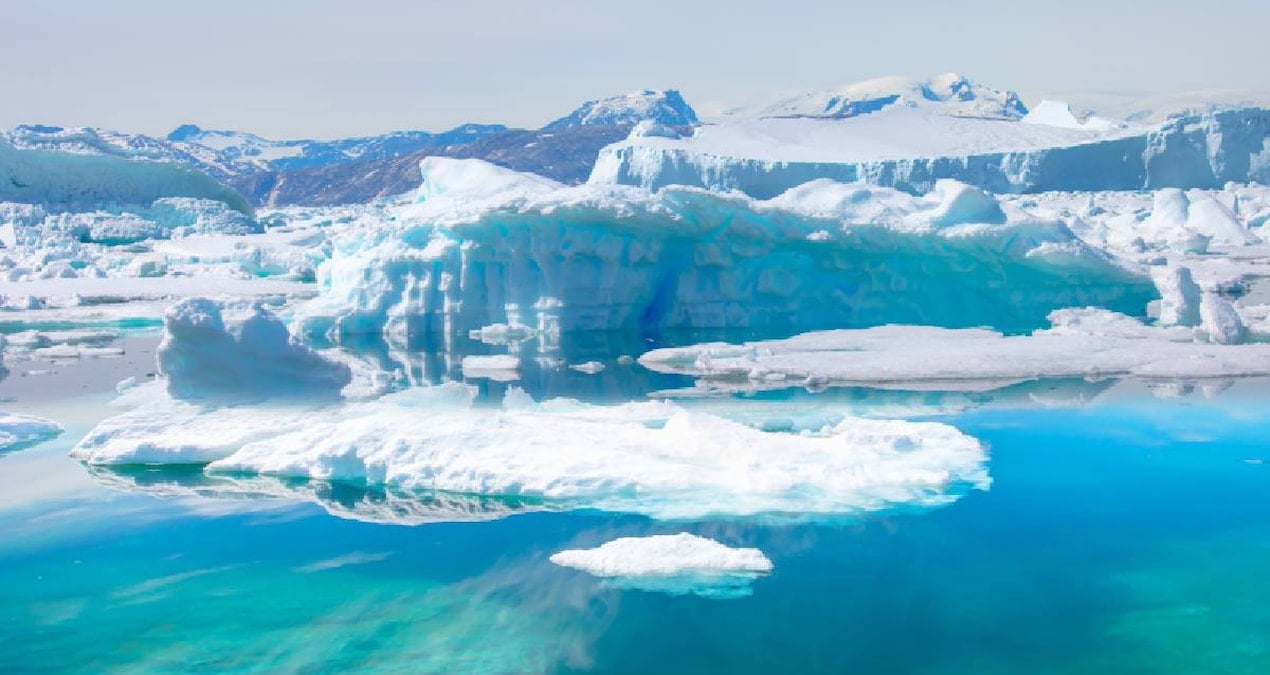 Antarktika’da Tarihi Keşif: 90 Milyon Yıllık Kehribar Bulundu